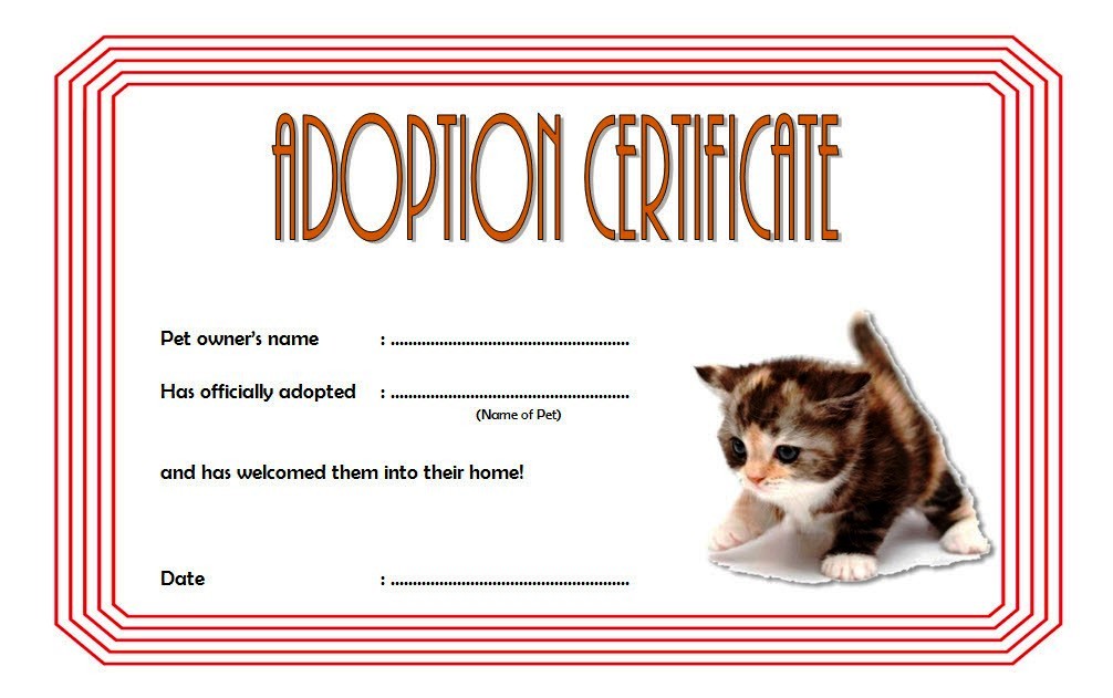 Cat Adoption Certificate Template 9 Best Ideas