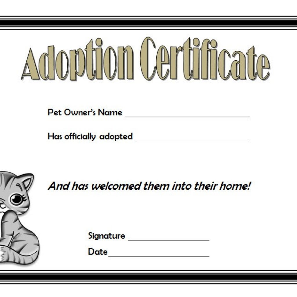 cat-adoption-certificate-template-7-paddle-certificate