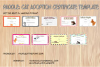 Cat Adoption Certificate Templates Paddle