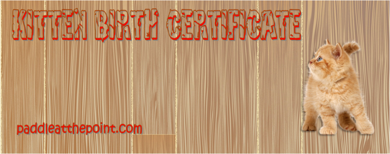 kitten-birth-certificate-template-free-10-best-designs