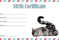 Cat Birth Certificate Template 7