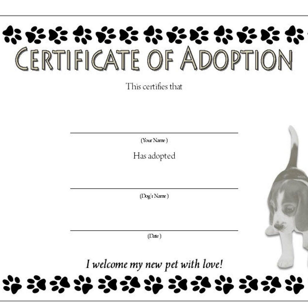 Dog Adoption Certificate Template FREE: 2020 Best Ideas