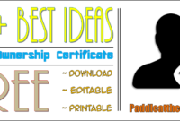 FREE 10+ Certificate of Ownership Templates by Paddle