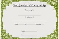 Ownership Certificate Template 9