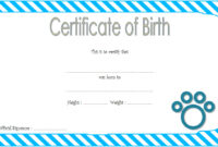 Cat Birth Certificate Template with Simple Designs