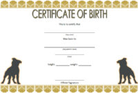 Dog Birth Certificate Template 6