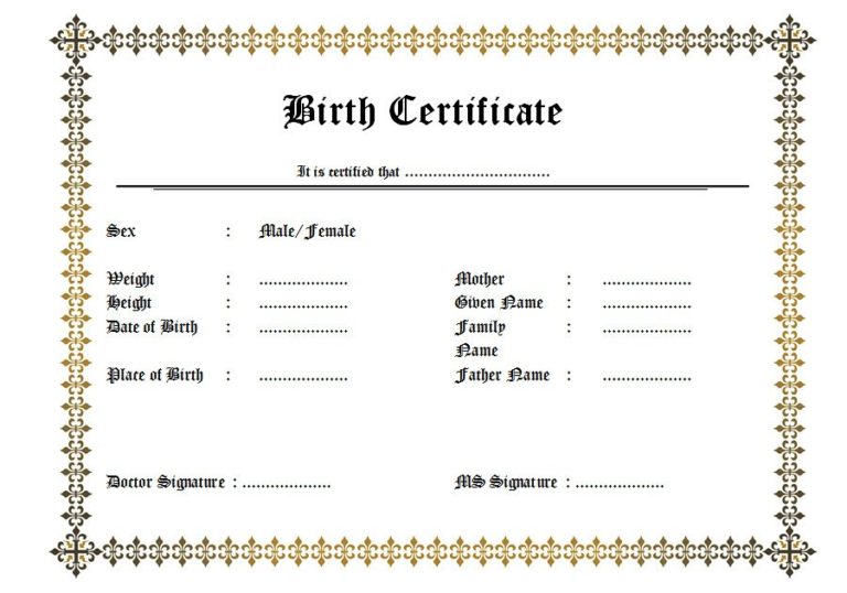 Official Birth Certificate Template 1 | Paddle Templates