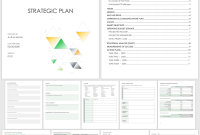 Nonprofit Strategic Plan Outline Template (2nd General Example)