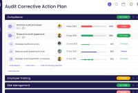 Corrective Action Plan Template for Audit (Free 3rd Example)