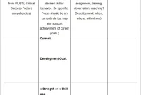 Individual Learning and Development Plan Template (1st Free Word Format)