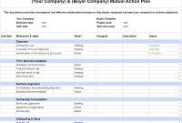 Sales Mutual Action Plan Template (1st Free Excel Format)