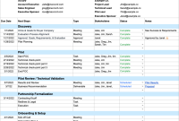 Sales Mutual Action Plan Template (2nd Free Excel Format)