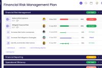 Financial Risk Management Plan Template (1st Main Choice)