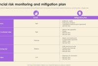 Financial Risk Management Plan Template (2nd Main Choice)