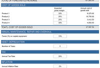 Free 5 Year Financial Plan Template (1st Best Option)