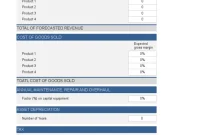 Free 5 Year Financial Plan Template (2nd Best Option)