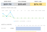 Small Business Financial Plan Template (1st Free Basic Format)