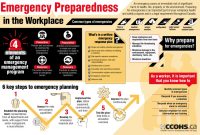 Safety Emergency Response Plan (2nd Professional Example)