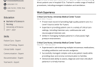 Critical Care Nurse Resume Example (2nd Free Exclusive Design)