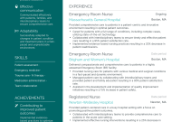 Professional Emergency Room Nurse Resume Example (1st Best Choice)