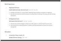 Professional Emergency Room Nurse Resume Example (2nd Best Choice)