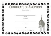 Dog Adoption Certificate Template FREE: 2020 Best Ideas