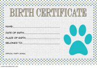Stuffed Animal Birth Certificate Template 1