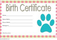 Stuffed Animal Birth Certificate Template 2